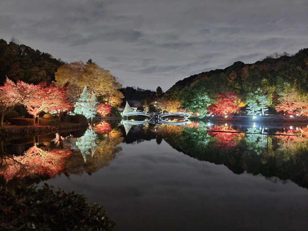 町田薬師池公園 紅葉まつり