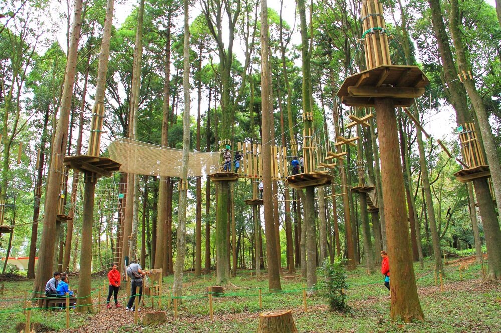 この夏に訪れたい 都心にある自然公園特集 公園専門メディアparkful