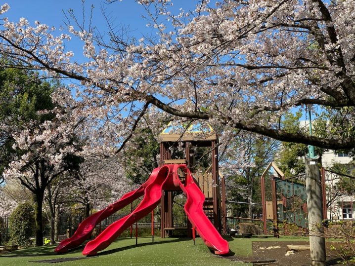 小金井市でおすすめの公園8選！大きな芝生広場や広がる都立公園、遊具が充実した公園も！