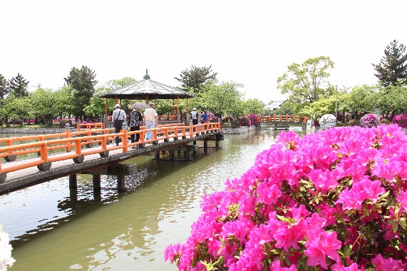 季節に合った催しがたくさん開催 九華公園 三重県桑名市 公園専門メディアparkful
