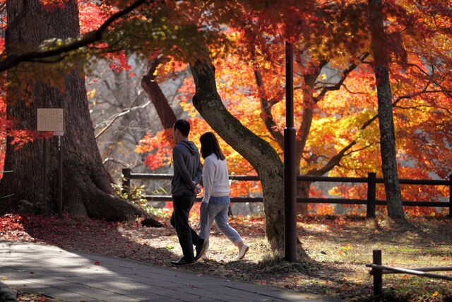 高遠城址公園