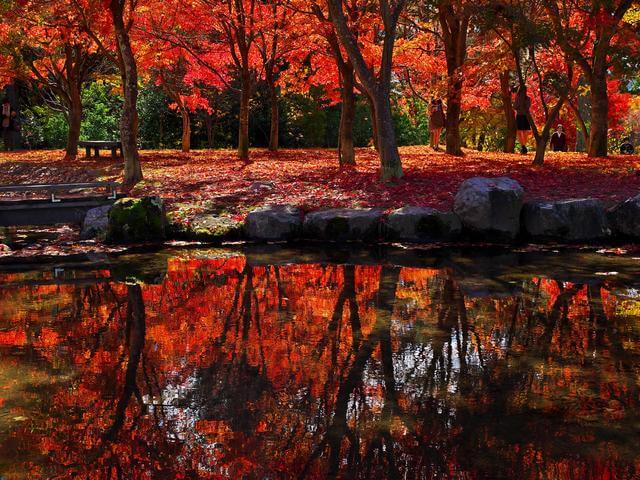 出早公園