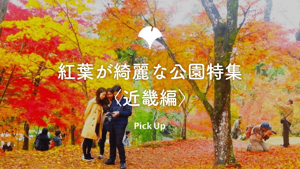 紅葉が綺麗な公園 近畿編 公園専門メディアparkful